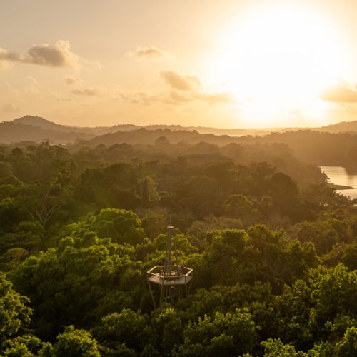 Panamá Rainforest Discovery Center